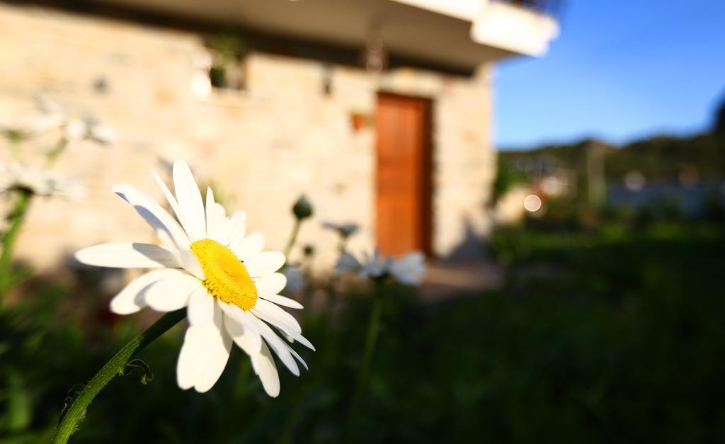 Penzion Hayitbuku Ahsapevleri Mesudiye  Exteriér fotografie