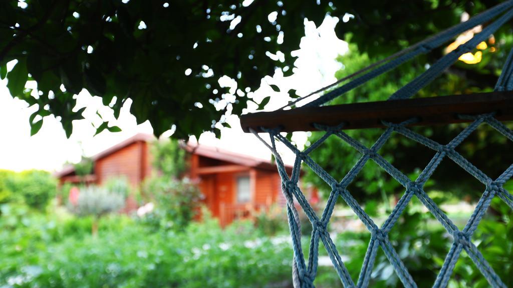 Penzion Hayitbuku Ahsapevleri Mesudiye  Exteriér fotografie