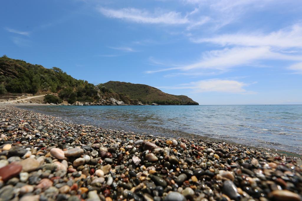 Penzion Hayitbuku Ahsapevleri Mesudiye  Exteriér fotografie